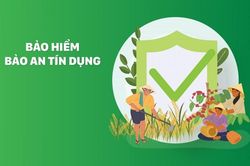 Tranh chấp bảo hiểm 'Bảo an tín dụng' ABIC sau khi người vay qua đời, Tòa án nhân dân tỉnh Vĩnh Long ra phán quyết