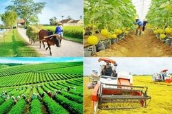 Thống nhất quản lý kinh phí chi thường xuyên thực hiện các chương trình mục tiêu quốc gia