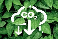 Sàn giao dịch carbon: Đòn bẩy cho doanh nghiệp chuyển đổi xanh
