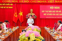 Đoàn ĐBQH TP. Hồ Chí Minh góp ý sửa Luật Xuất bản: Xây dựng môi trường xuất bản chuyên nghiệp, theo kịp công nghệ