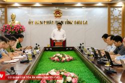 Thúc đẩy xây dựng Đề án phát triển kinh tế khu vực biên giới tỉnh Sơn La