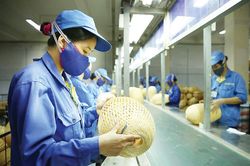 Đổi cách hỗ trợ để doanh nghiệp nhỏ và vừa lớn lên