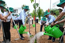 Trồng mới 1,5 triệu cây xanh, chung tay phòng chống suy thoái đất