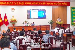 Tìm đầu ra cho nghề nuôi lươn ở Cà Mau