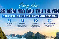 35 điểm neo đậu tàu thuyền trên vịnh Hạ Long, Bái Tử Long