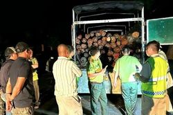 CSGT Krông Búk mật phục, phát hiện 02 xe vận chuyển lâm sản không rõ nguồn gốc