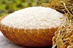 Giá lúa gạo hôm nay 17/6: Không biến động
