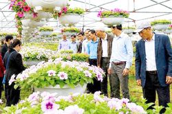 Hiện thực h&oacute;a kh&aacute;t vọng trở th&agrave;nh đ&ocirc; thị xanh