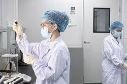Triển khai kịp thời, hiệu quả Nghị quyết số 07 của HĐND thành phố