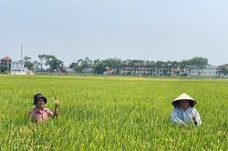 Sản xuất theo hướng VietGAP: Chuẩn hóa quy trình, nâng cao giá trị nông sản