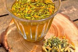 Hoa đu đủ đực giúp hỗ trợ điều trị bệnh gì?