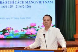 C&aacute;c ch&iacute;nh s&aacute;ch quản l&yacute; thuế đối với hộ kinh doanh v&agrave; thu nhập c&aacute; nh&acirc;n đang nghi&ecirc;n cứu, r&agrave; so&aacute;t