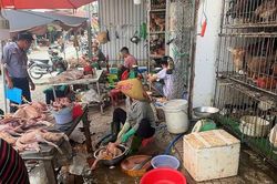 TP.HCM: Kiểm tra 12 điểm giết mổ gia cầm tự ph&aacute;t tại phường Dĩ An