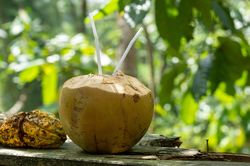Uống nước dừa thường xuyên, chức năng thận thay đổi thế nào?