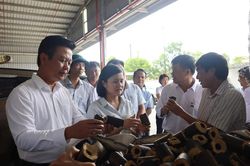 Quảng Trị: Khơi thông nguồn lực, tạo sinh kế bền vững cho người dân