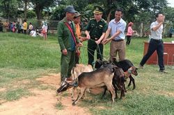 Trao sinh kế, tiếp th&ecirc;m động lực cho hộ ngh&egrave;o v&ugrave;ng bi&ecirc;n Keng Đu