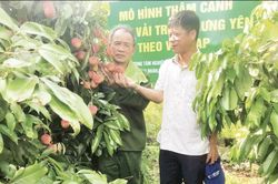 Hiệu quả của mô hình khuyến nông