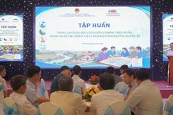 N&acirc;ng cao năng lực đ&aacute;nh gi&aacute; rủi ro thi&ecirc;n tai