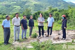 Chuyện chưa kể của những người 'phụng công, thủ pháp'-Bài 1: Gỡ 'nút thắt' sau bản án giữa đại ngàn