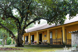 Trại phong Quả Cảm ngày nắng mới