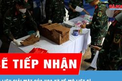 Sẽ tiếp nhận kỷ vật liệt sĩ, tài liệu giải mật của Hoa Kỳ về mộ liệt sĩ