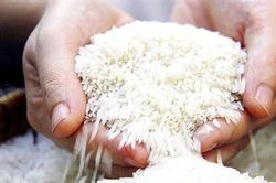 Tăng chất lượng và giá trị hạt gạo Việt Nam