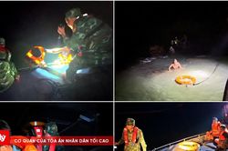 Cứu nạn 9 thuyền viên tàu cá bị chìm do sóng to, gió lớn tại khu vực Đảo Trần