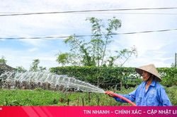 Nắng n&oacute;ng k&eacute;o d&agrave;i, n&ocirc;ng d&acirc;n tăng cường giải ph&aacute;p giữ nguồn cung rau xanh
