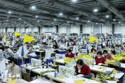 Nỗ lực tháo gỡ các vướng mắc trong hợp tác kinh tế Việt Nam-Liên bang Nga