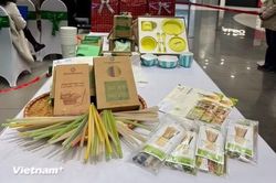 Từ chính sách đến hành động: Mở rộng tái chế, kiến tạo nền kinh tế tuần hoàn
