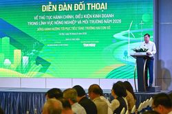Th&aacute;o gỡ điểm nghẽn thể chế, mở đường cho nu&ocirc;i biển c&ocirc;ng nghiệp bứt ph&aacute;