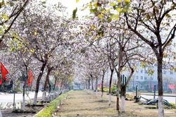 Lai Ch&acirc;u triển khai chương tr&igrave;nh k&iacute;ch cầu, tạo đ&agrave; bứt ph&aacute; cho du lịch xanh