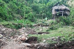 Sau loạt b&agrave;i của TTXVN, Nghệ An chỉ đạo l&agrave;m r&otilde; t&igrave;nh trạng 'v&agrave;ng tặc' ở Y&ecirc;n Na