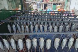 Đang đi dạo, người dân phát hiện cảnh tượng 'nổi da gà', nhiều người kéo đến xem tận mắt