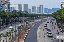 Hà Nội: Cận cảnh hàng cây xanh vừa trồng đã sắp bị thay trên đường Võ Chí Công