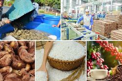 Đà tăng trưởng hiện tại mở ra khả năng xuất nhập khẩu Việt Nam vượt mốc 1.000 tỷ USD trong năm 2026