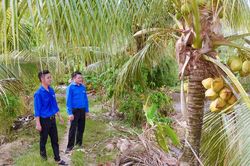 Thanh ni&ecirc;n Giang Th&agrave;nh khởi nghiệp hiệu quả