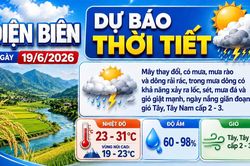 Bản tin Dự b&aacute;o thời tiết ng&agrave;y 19/6/2026