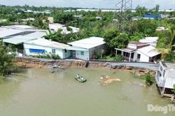 Đường bờ T&acirc;y s&ocirc;ng Cổ C&ograve; sạt lở hơn 40 m, g&acirc;y chia cắt giao th&ocirc;ng