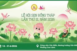 C&aacute;c hoạt động diễn ra theo ng&agrave;y tại Lễ hội Sen Đồng Th&aacute;p lần thứ III năm 2026 - 'Về nghe Sen kể chuyện'