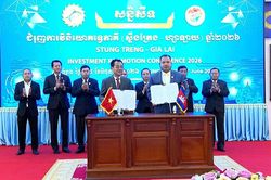 Thúc đẩy hợp tác đầu tư song phương Stung Treng - Gia Lai