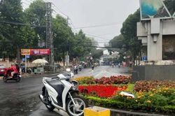 B&aacute;o động t&igrave;nh trạng điều khiển phương tiện tự g&acirc;y tai nạn