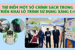 Th&iacute; điểm một số ch&iacute;nh s&aacute;ch trong triển khai lộ tr&igrave;nh sử dụng xăng E10