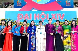 Đồng ch&iacute; Đinh Minh H&agrave; t&aacute;i cử Ban Chấp h&agrave;nh Trung ương Hội Li&ecirc;n hiệp Phụ nữ Việt Nam kh&oacute;a XIV
