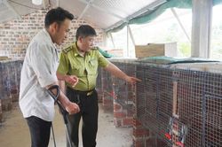 Triển vọng từ m&ocirc; h&igrave;nh ph&aacute;t triển kinh tế