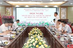 Thẩm tra nội dung trình Kỳ họp chuyên đề thứ 2 của HĐND tỉnh thuộc lĩnh vực kinh tế - ngân sách