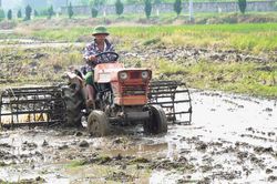 Bắt nhịp sản xuất vụ mùa