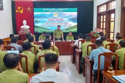 Thái Nguyên: Số vụ cháy rừng và vi phạm lâm luật giảm