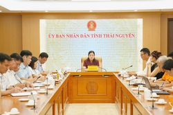 Hỗ trợ doanh nghiệp đầu tư ph&aacute;t triển v&ugrave;ng quế, hồi tại Th&aacute;i Nguy&ecirc;n
