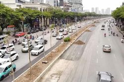 Hà Nội: Hàng cây mới trồng trên đường Võ Chí Công sẽ được xử lý thế nào?